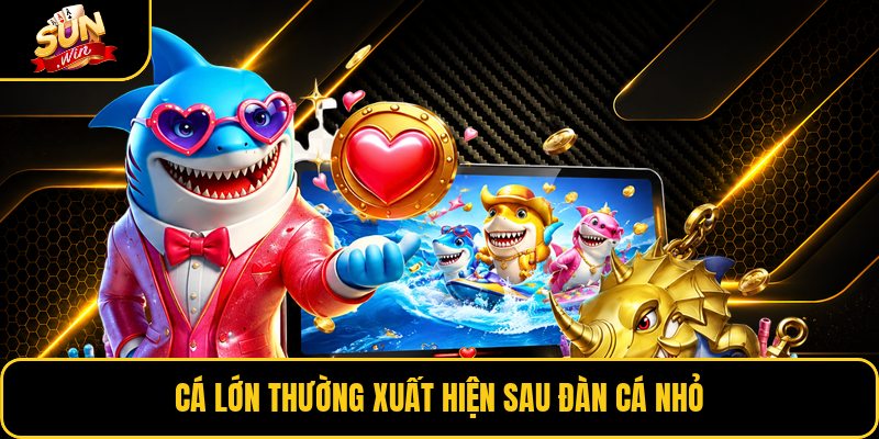 Cá lớn thường xuất hiện sau đàn cá nhỏ