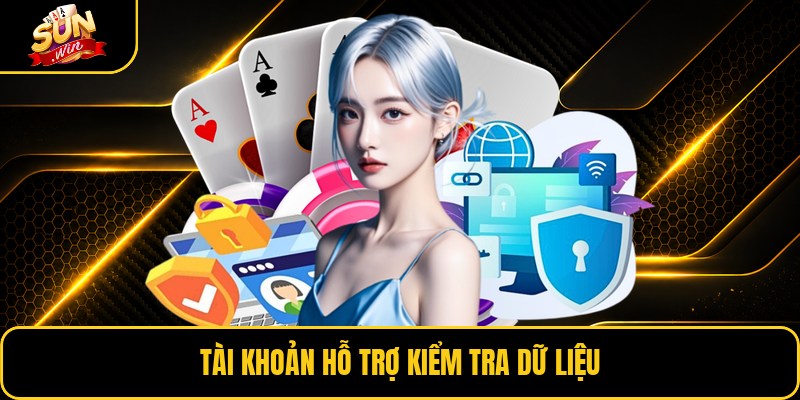 Tài khoản hỗ trợ kiểm tra dữ liệu